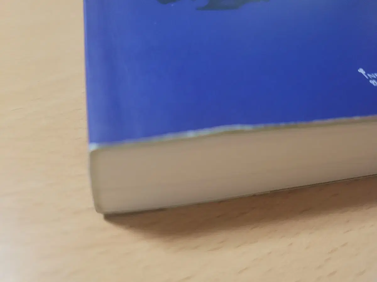 thumbnail-11